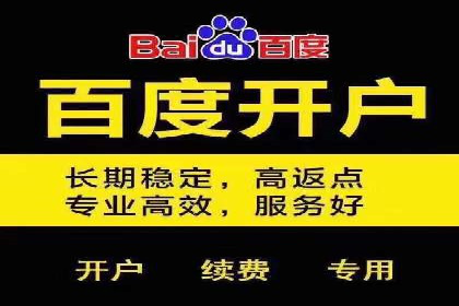 百度视频广告投放技巧：案例分享成功经验
